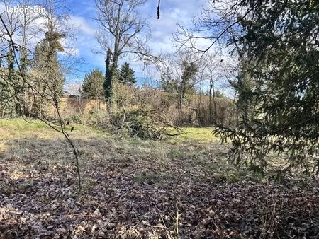 terrain 800 m² saint georges de reneins