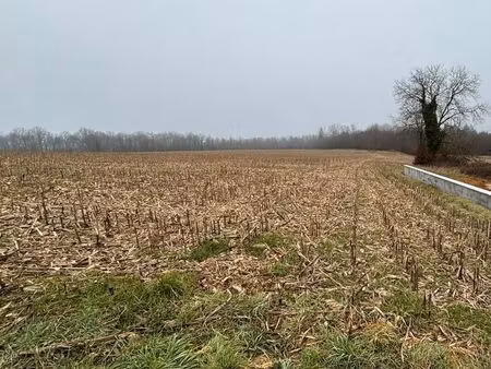 terrain 1295 m² ruhans