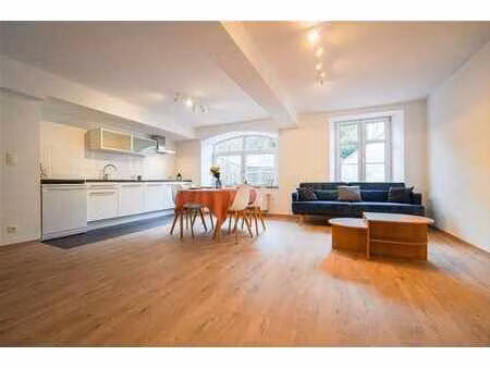 appartement 1 ch rénové au rdch d'un petit immeuble