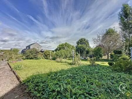 beau terrain à javingue