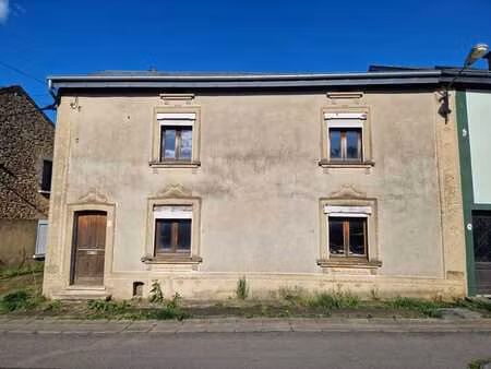 cette maison avec jardin est en cours de rénovation