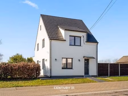 maison à vendre à rummen € 439.000 (lkw58) - century 21 immok | zimmo
