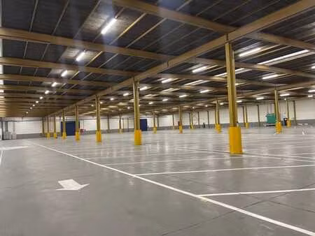 a louer entrepot sint-niklaas