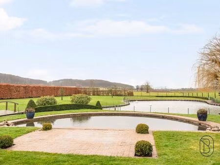 terrain à vendre à melden € 998.000 (lkwgw) - immo beguin ronse | zimmo