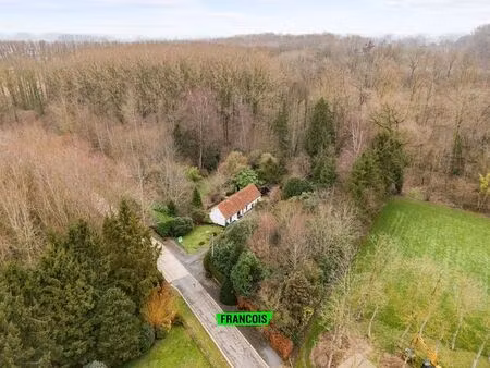 terrain à vendre à sint-lievens-houtem € 499.000 (lkvsy) - immo francois - zottegem | zimm