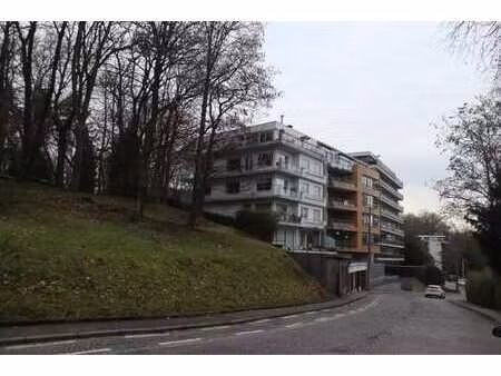 a voir !! coquet appartement avec jardin en bordure du parc