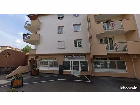 local professionnel à louer neuville sur saone