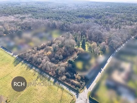 entre montfort-l'amaury et gambais - grand terrain à bâtir de 10 031 m2 dans un bel enviro