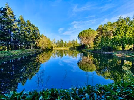 jolie maison néo-bretonne avec étang  dépendances & 2 hectares de terrain  pré inclut. san