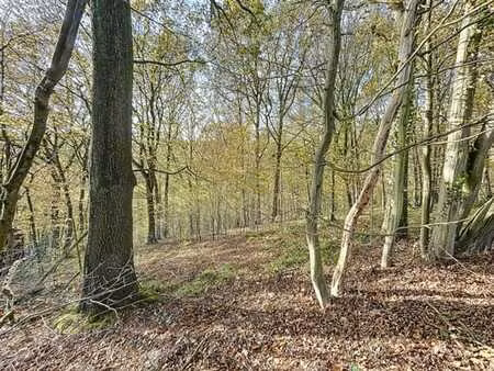 terrain a batir a vendre ds un cadre paisible et verdoyant !