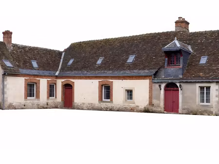 vente maison à neuillé-le-lierre (37380) : à vendre / 495m² neuillé-le-lierre