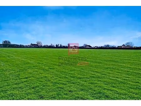 terrain bruere allichamps 1510 m2