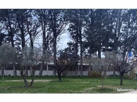 terrain viabilisé + maison sénas