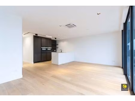 appartement te huur in berchem met 2 slaapkamers