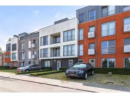 appartement te huur in lint met 2 slaapkamers