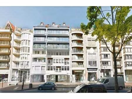 magnifique commerce – lippenslaan 217 à louer (min 50% hore