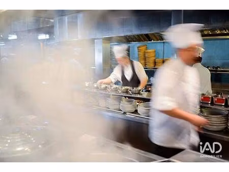 vente restaurant 240 m²
