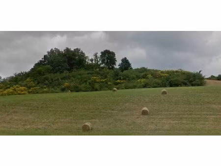 vente terrain 1700 m² à le fossat (09130)  29 000 €