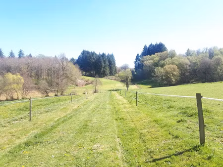 vente terrain 71878 m² à vayres (87600)  50 000 €