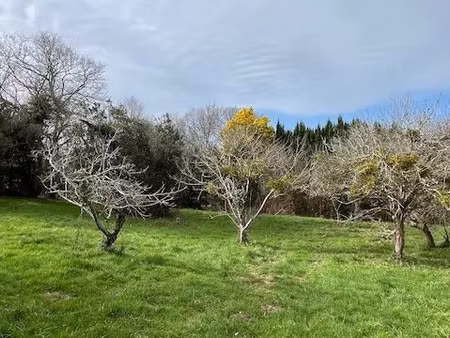 vente terrain à batir 1400 m² à mouguerre (64990)  356 400 €