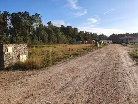 vente terrain à construire 450 m² hourtin (33990)