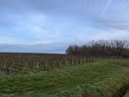 vente terrain à construire 550 m² montussan (33450)