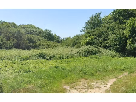 vente terrain 470 m² à saint-étienne-au-mont (62360)  86 980 €