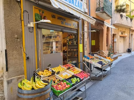 vente locaux professionnels 140 m² à gignac (34150)  55 000 €