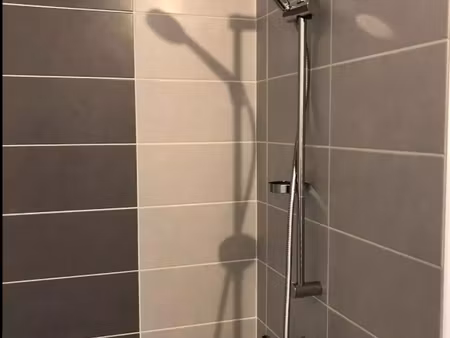 t2 / 49m² / noisy le-grand mont d'est (rer a)