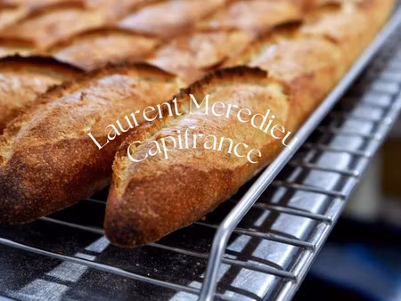 vente locaux professionnels 87 m² à lacanau (33680)  185 000 €