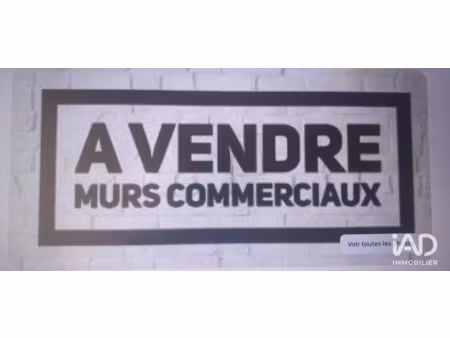 vente locaux professionnels 900 m² à saint-hilaire-sur-erre (61340)  490 000 €