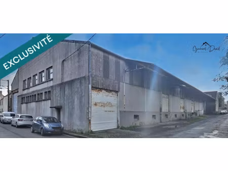 vente locaux professionnels 1600 m² à saint-pol-de-léon (29250)  320 700 €