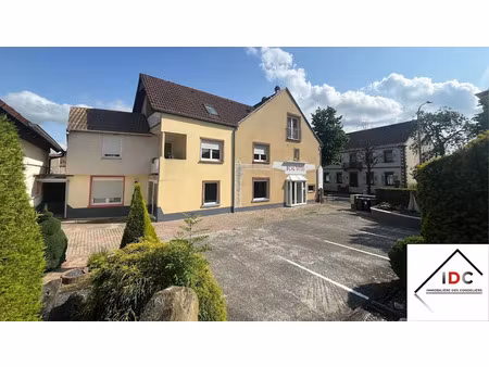 vente immeuble 175 m² à sarre-union (67260)  233 000 €