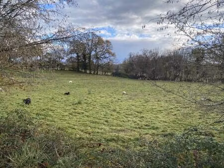 terrain constructible viabilisé à vendre