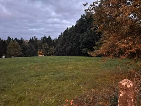 terrain constructible viabilisé à vendre