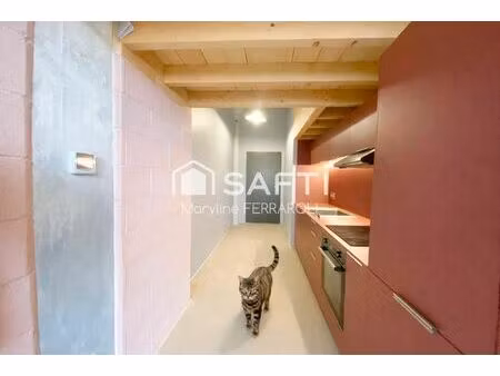 location appartement 2 pièces 46 m² à strasbourg (67000)