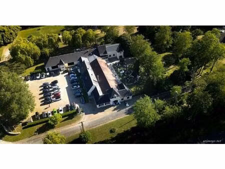 vente commerce 10 pièces 1050 m² tours (37000)