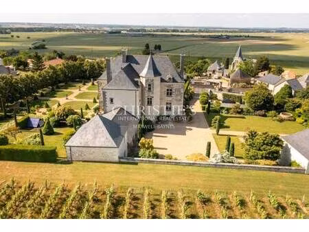 vignoble à vendre