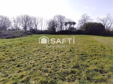 vente terrain 4593 m² clion (17240)