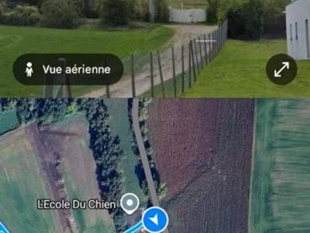 terrain cheveaux avec abris