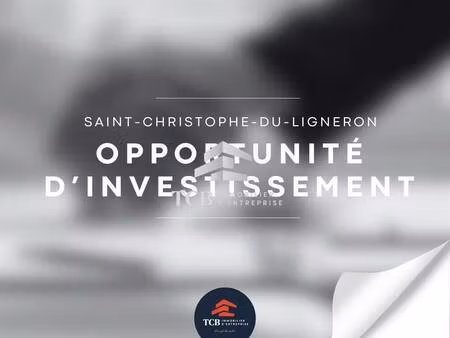 local commercial à vendre