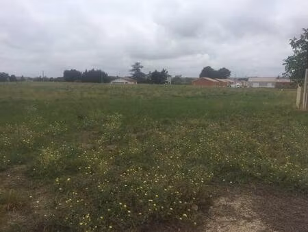 terrain constructible viabilisé à vendre
