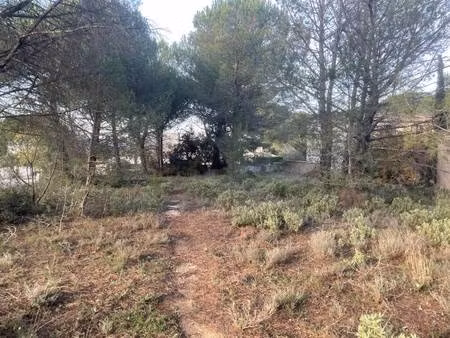 terrain constructible viabilisé à vendre