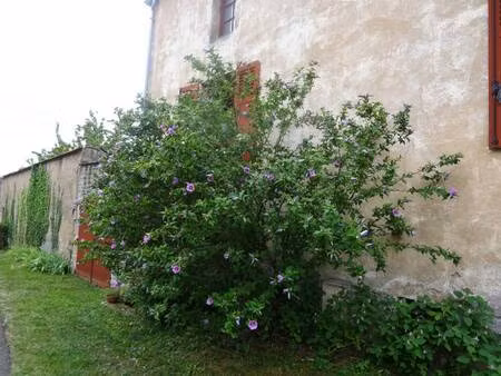 safti darphin cécile conseiller indépendant