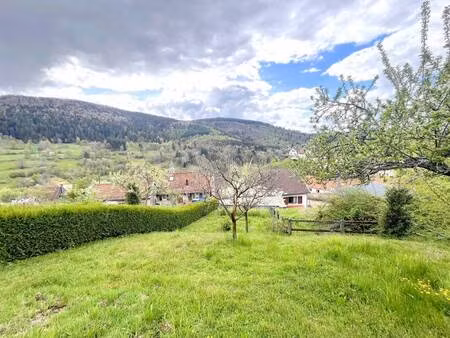 orpi tritschler immobilier