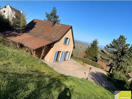 times new roman;*windev 28.0.263.0; vignoble gube