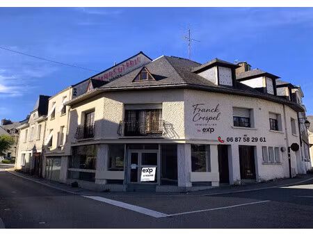 immeuble à usage professionnel et habitation