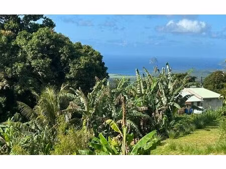 terrain sainte-luce m² t- à vendre  165 000 €