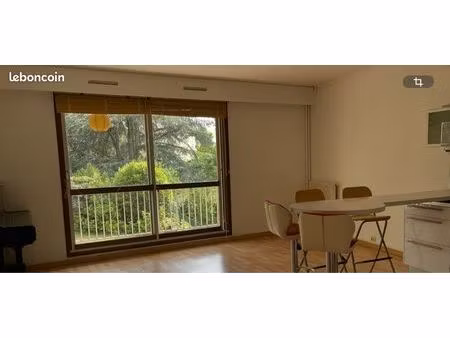 appartement location