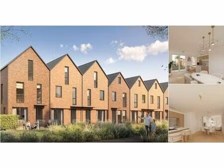 maison à vendre à terrilpark 1.1 beringen (rbv26002)